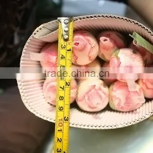 Colorful Classical Double Pink Rose thumbnail-5