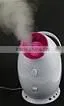 Hot Sales:Nano Ion Beauty Facial Steamer Spa Vapor Facial Steamer (hot&cool Type) thumbnail-2