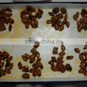 Canned Smoked Mussels in Vegetable Oil thumbnail-5