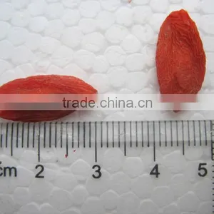 Organic Dried Goji Fruit thumbnail-1