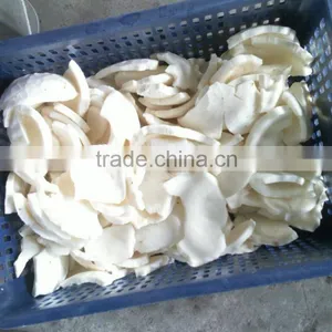 Coconut Grinding Machine thumbnail-5