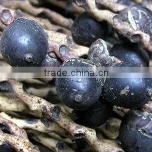Organic Ungurahua Oil thumbnail-1