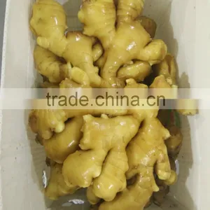 Plastic Carton Ginger thumbnail-2