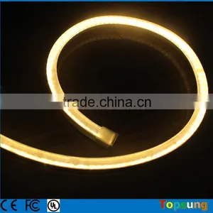 Beautiful Clear Warm White Waterproof Led Lights 12 Volt thumbnail-1