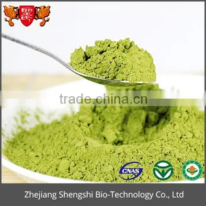 Wholesale Healthy Product Pure Natural Powder, Fresh Lotus Leaf Extract Powder thumbnail-3