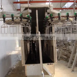Poultry Farm Equipment thumbnail-1