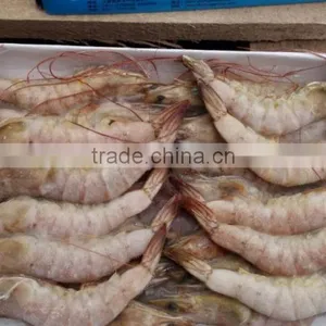 Sea Frozen Vannamei White Shrimp thumbnail-3