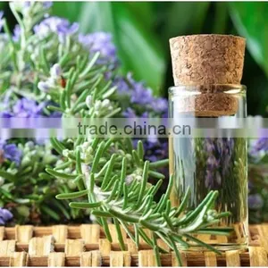 Pure Rosemary Oil From India | Natural Rosemary Oil For Export Only thumbnail-4