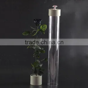 2016 Yiwu Aimee Wholesale Fresh Colorful Preserved Flower(AM-PF08) thumbnail-5