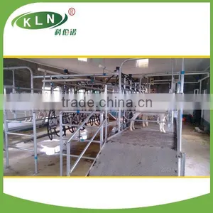 Milking Sheep Parlor in Dairy Farm thumbnail-1