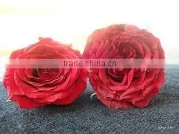 ROSE POWDER FOR AYURVEDIC REMEDY thumbnail-3