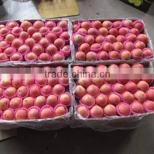 Red Fuji Apple thumbnail-3