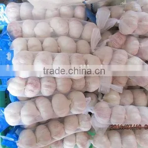 Chinese Garlic 2015 Crop thumbnail-1