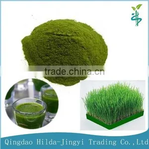 2015 Health Food Organic Barley Grass Powder thumbnail-1