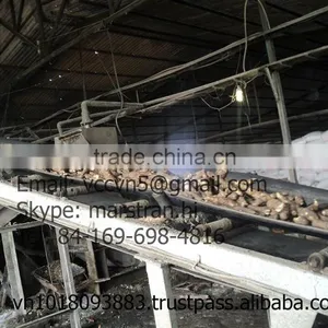 TAPIOCA STARCH/CASSAVA VIET NAM Food Grade thumbnail-6