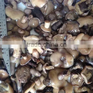 Suillus Granulatus Mushrooms in Brine thumbnail-1