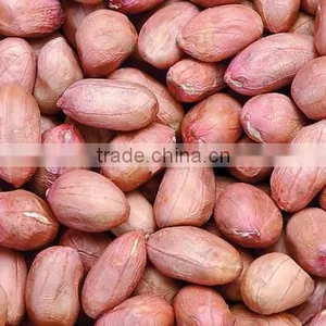 China Good Quality Oil Extractor Peanuts thumbnail-1
