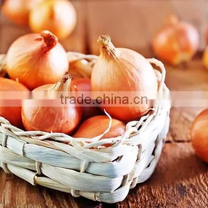 Vietnam Matcha Onion Allium Powder thumbnail-4