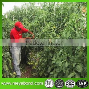 High Quality Climbing Plant Support Net thumbnail-6
