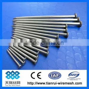 Spply Polish Common Nails/common Wire Nail With Good Quality thumbnail-1