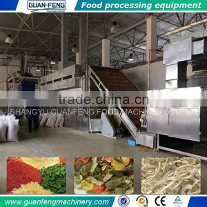 Professional Food Processing Vegetables Fruits Drying Line thumbnail-2