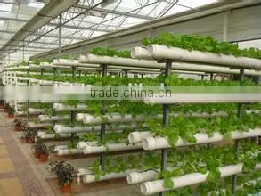 Hydroponic Systems Greenhouse thumbnail-1