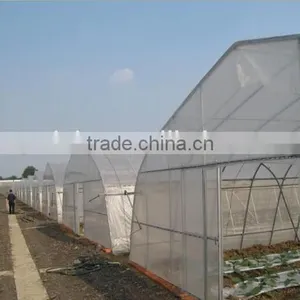 Low Cost Agricultural Greenhouse thumbnail-2