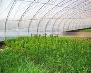 Transparet PE Plastic Film for Agricultural/construction thumbnail-1