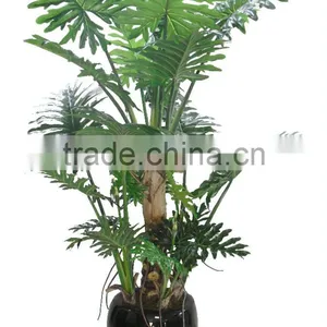 CHY030938 Hotel Decoration Everygreen Dried Plant Philodendron Plant Indoor thumbnail-3