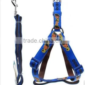 Dog Leash thumbnail-1