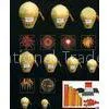 Un0335 Large Multi Shot Mortar Shells Fireworks 2 Inch for Halloween / Easter thumbnail-1