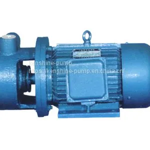 CWX Marine Centrifugal Vortex Pump thumbnail-2