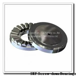 SKF Screw-down Bearings thumbnail-1