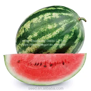 Cery Chinese Crimson Oval Watermelon Seed thumbnail-2