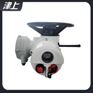 Electric Valve Electric Actuator IQ35 Rotary Electric Actuator thumbnail-3