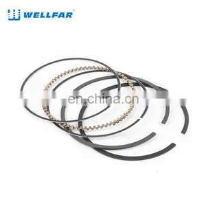 Wellfar Auto Parts Steel Ring Piston 96mm for Chevrolet Trail Blazer Yukon Silverado 2500,3500 Escalade Car thumbnail-2