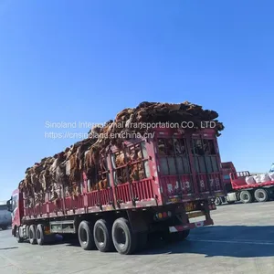 Ulan Bator Logistics, Mongolia Logistics, Mongolia Freight Forwarder From Erenhot thumbnail-4