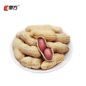 Factory Direct Supply Roasted Peanuts Garlic Flavor 148g Nuts Snacks Le Fang Rainbow Series thumbnail-3
