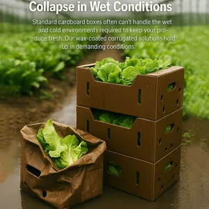 Wax Coated Corrugated Carton for Lobster Crab Shrimp Seafood Cold Chain Transport and Export Packaging thumbnail-3