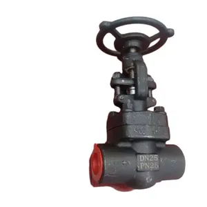 Certified ANSI Forged Globe Valve Meeting ASME B16.34 and API602 Standards for High-Temperature Systems thumbnail-1