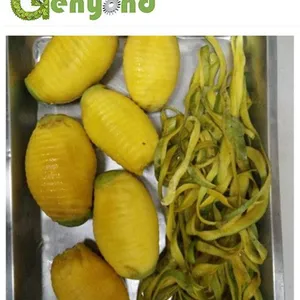 Mango Chips Mango Peeling Machine in Fruit Processing Line thumbnail-4