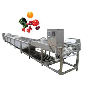 Fruit and Vegetables Ultrasonic Washer Industrial thumbnail-1