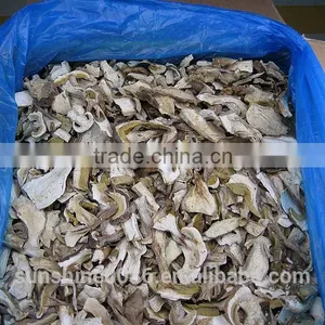 High Quality High Quality Dried Boletus Mushroom in Yunnan thumbnail-6