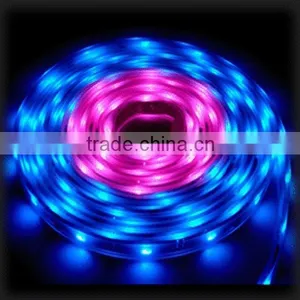 3528 Flexible Led Strip Light/waterproof IP68 IP65 IP20 Rgb Led Strip Light thumbnail-1