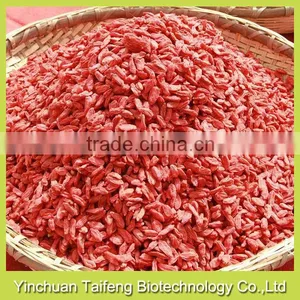 2015's New Crop Gojiberry From China thumbnail-3