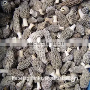 IQF Frozen Style Chinese Morel Mushroom thumbnail-3