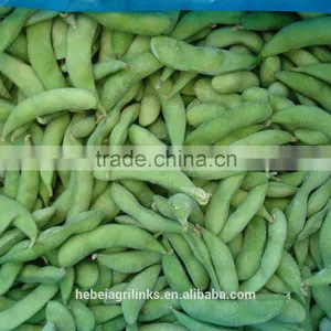 Frozen Soyabean, Frozen Type Fresh Soyabean thumbnail-4