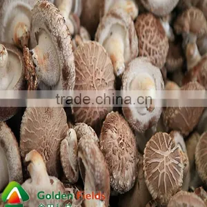 Made in China Popular Chaga Mushroom Extract Powder thumbnail-5
