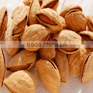 Almond Nuts Price thumbnail-1