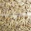 Anise Oil ( Complying to BP ) thumbnail-1